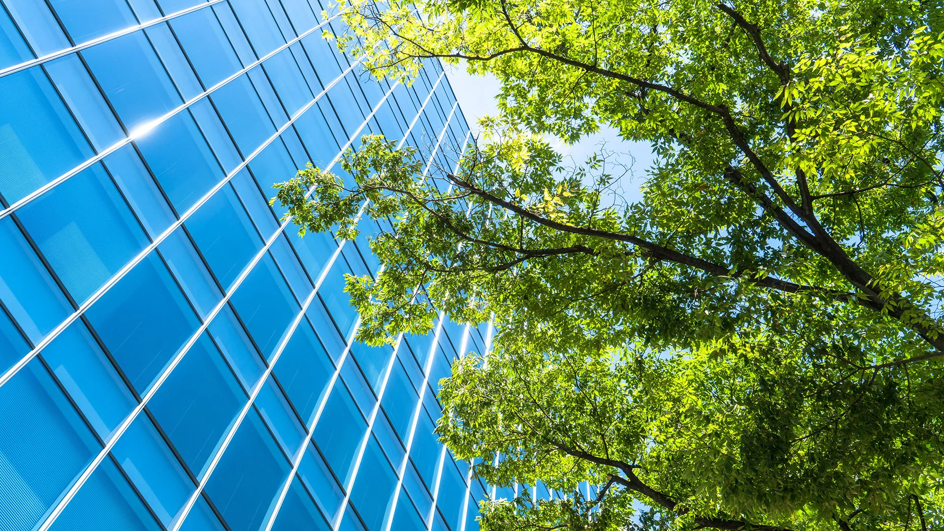 株式会社Mr財務屋